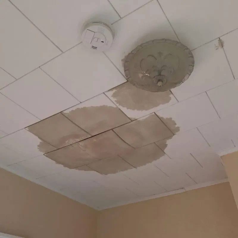 Ceiling Water Damage Repair in Fairfield, CT