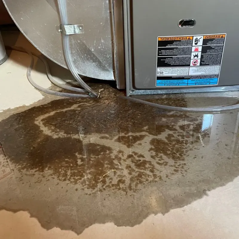 Pipe Burst and Leak Restoration in Fairfield, CT