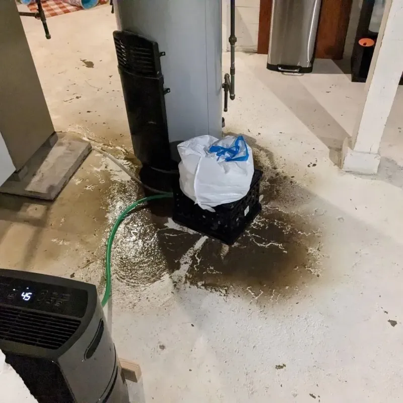Sewage Backup Cleanup Service in Fairfield, CT